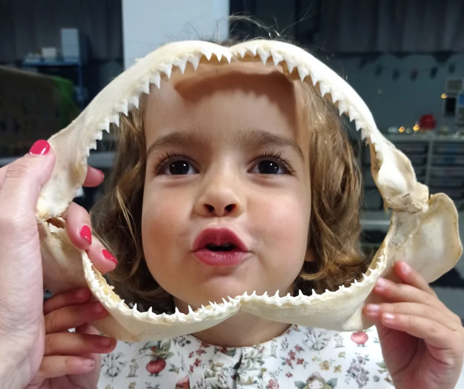 Encuentro Educativo en Oceanario
