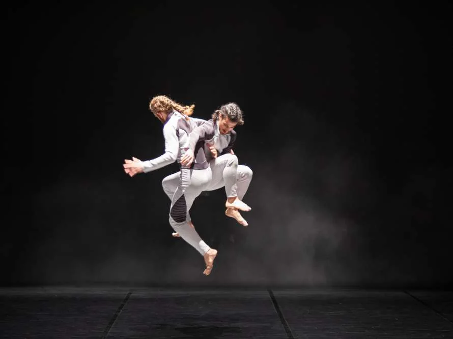 Dinamo Danza